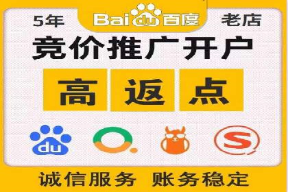 从新手到高手：百度竞价实战案例分析